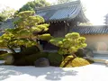 観智院の写真_169448