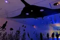 名古屋ルーセントタワーの写真_169512