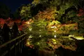 徳川園の写真_169518
