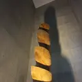 奇跡の星の植物館の写真_169562