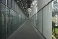 奇跡の星の植物館の写真_169563