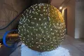 奇跡の星の植物館の写真_169568
