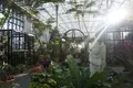 奇跡の星の植物館の写真_169571