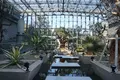 奇跡の星の植物館の写真_169575