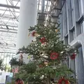奇跡の星の植物館の写真_169578