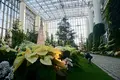 奇跡の星の植物館の写真_169581