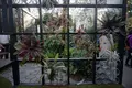 奇跡の星の植物館の写真_169583