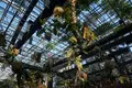 奇跡の星の植物館の写真_169585