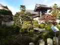 垂井の泉の写真_169703