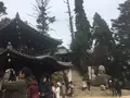 弥山の写真_169798