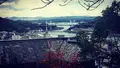 千光寺の写真_169815
