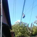 尾道市の写真_169819