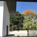 鈴木大拙館の写真_169827