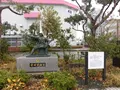 高岡駅の写真_169959