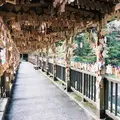 紅葉橋の写真_170097