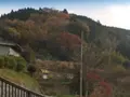 室生寺の写真_170181