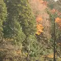 室生寺の写真_170184