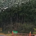 室生寺の写真_170187
