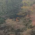 室生寺の写真_170189