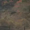 室生寺の写真_170191