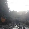 室生寺の写真_170194