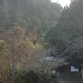 室生寺の写真_170195