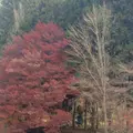室生寺の写真_170197
