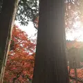 室生寺の写真_170206