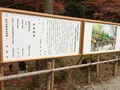 室生寺の写真_170216