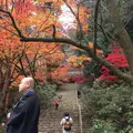 室生寺の写真_170218