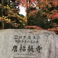 唐招提寺の写真_170249