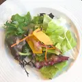 ボリジの写真_170349