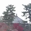 興福寺 南円堂（西国９番）の写真_170361
