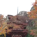浄瑠璃寺の写真_170396
