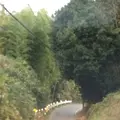 岩船寺の写真_170400