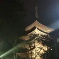興福寺 南円堂（西国９番）の写真_170440