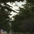 奈良ワシントンホテルプラザの写真_170540