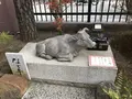 六波羅蜜寺の写真_170825