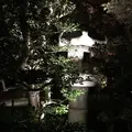 青蓮院門跡の写真_171028