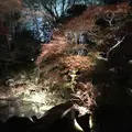 青蓮院門跡の写真_171029