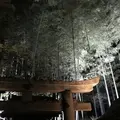 青蓮院門跡の写真_171033