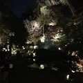 青蓮院門跡の写真_171036
