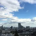 仙台城跡（青葉城本丸会館）の写真_171157