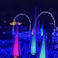 なばなの里の写真_171227