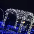 なばなの里の写真_171228