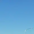 東真土の写真_171354