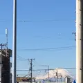 東真土の写真_171355