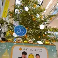 ラシックの写真_171497