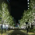 名古屋駅の写真_171501
