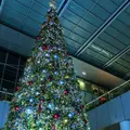 名古屋駅の写真_171508